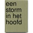 Een storm in het hoofd