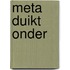 Meta duikt onder