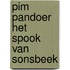 Pim pandoer het spook van sonsbeek