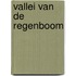 Vallei van de regenboom