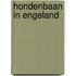 Hondenbaan in engeland