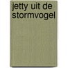 Jetty uit de stormvogel by Plaats