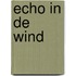 Echo in de wind