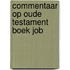 Commentaar op oude testament boek job