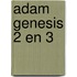 Adam genesis 2 en 3