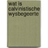 Wat is calvinistische wysbegeerte