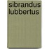 Sibrandus lubbertus