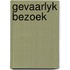 Gevaarlyk bezoek