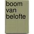 Boom van belofte