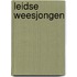 Leidse weesjongen