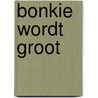 Bonkie wordt groot door Pleysier