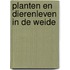 Planten en dierenleven in de weide