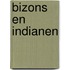 Bizons en indianen