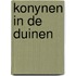 Konynen in de duinen