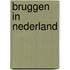 Bruggen in nederland