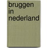 Bruggen in nederland door Ruim