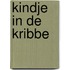 Kindje in de kribbe