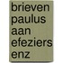 Brieven paulus aan efeziers enz