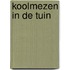 Koolmezen in de tuin