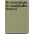 Fenomenologie en analytische filosofie