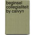 Beginsel collegialiteit by calvyn