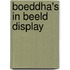Boeddha's in beeld display