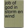 Job of god in storm en wind by Wiesel