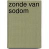 Zonde van sodom door Richard Bouwman
