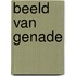 Beeld van genade