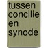 Tussen concilie en synode