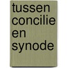 Tussen concilie en synode door Huysmans