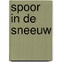 Spoor in de sneeuw