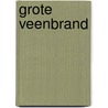 Grote veenbrand by Vries