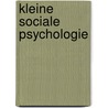 Kleine sociale psychologie door A.J. Slot