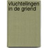 Vluchtelingen in de griend