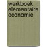 Werkboek elementaire economie