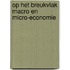 Op het breukvlak macro en micro-economie
