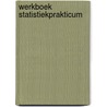 Werkboek statistiekprakticum by Geilenkirchen