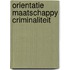 Orientatie maatschappy criminaliteit