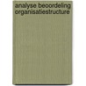 Analyse beoordeling organisatiestructure door Catherien Jansen