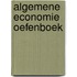 Algemene economie oefenboek