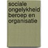 Sociale ongelykheid beroep en organisatie