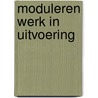 Moduleren werk in uitvoering door Michel Jehee