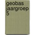 Geobas jaargroep 5