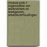 Module PMB-1 organisaties van werknemers en werkgevers, arbeidsverhoudingen door J. Heijnsdijk