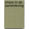 Chloor in de samenleving door Alwine de Jong