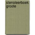 Stenoleerboek groote