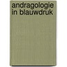 Andragologie in blauwdruk by Have