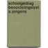 Schoolgedrag beoordelingslyst a jongens