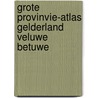 Grote provinvie-atlas gelderland veluwe betuwe door Onbekend